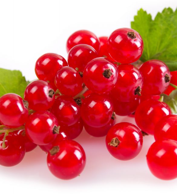 red currant with leaves on white background