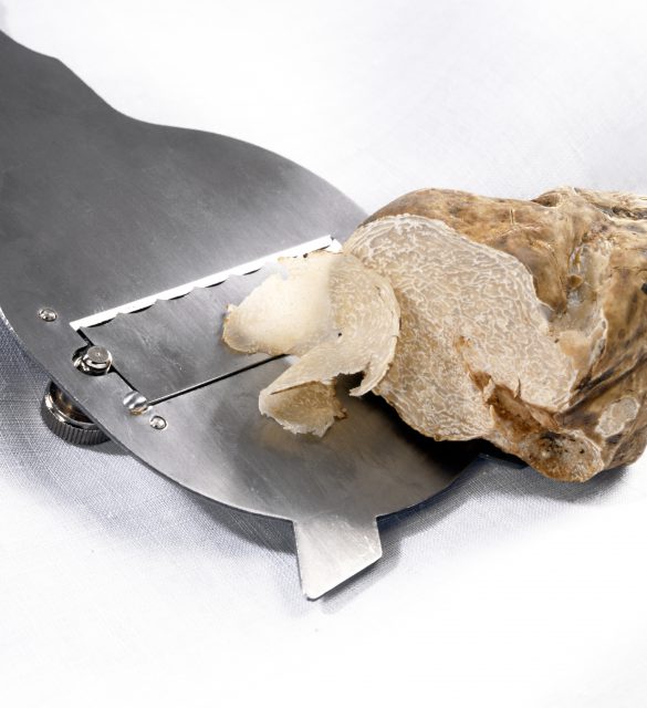 Slicing a white truffle into fine slices with a stainless steel cutter for use as a gourmet ingredient to flavour food in cooking