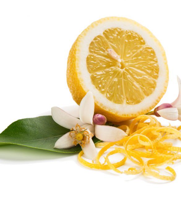 Zest and flower and lemon fruit isolated on white background.