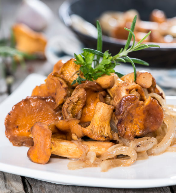 Plate with fried Chanterelles and fresh herbs